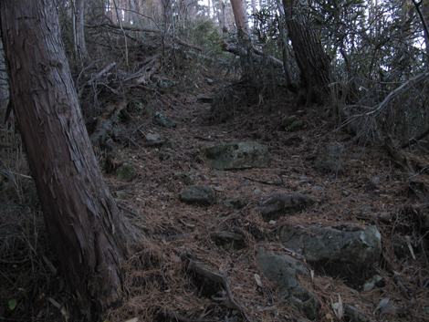 20181214hike (21)